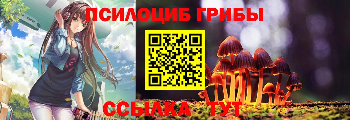 Кулебаки  Псилоцибиновые грибы ЛСД  Вход с VPN  Псилоцибиновые грибы прущие грибы 